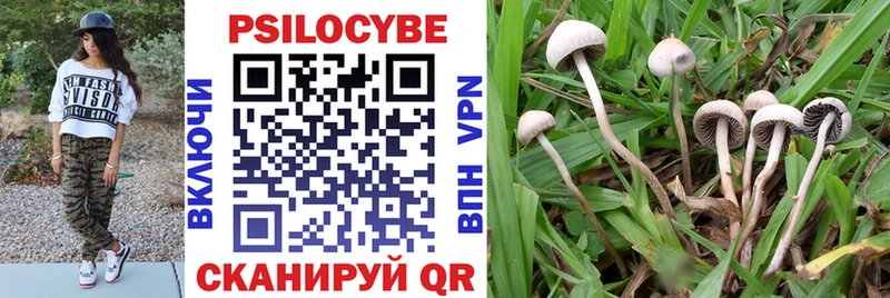 Галлюциногенные грибы прущие грибы  Льгов 